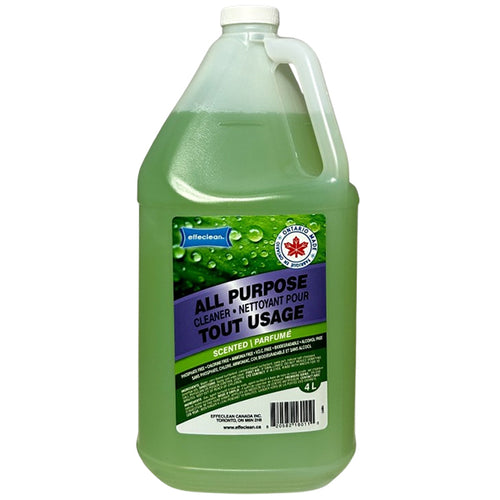 EFFECLEAN Eco All Purpose Cleaner Lime Ginger 4x4LT