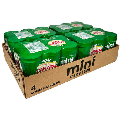 COCA COLA Canada Dry Gingerale 4x6x222ML