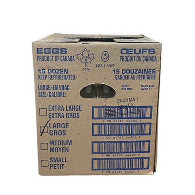 GRAY RIDGE Eggs White Large Loose 180EA