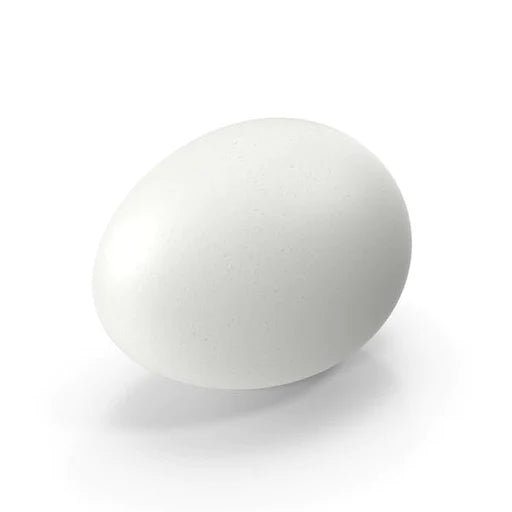 Gray Ridge Eggs White Small Loose 12ea