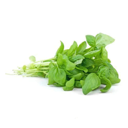 Basil (3 each)