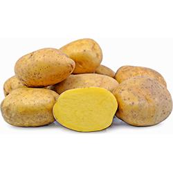 Yukon Gold Potatoes 10lbs